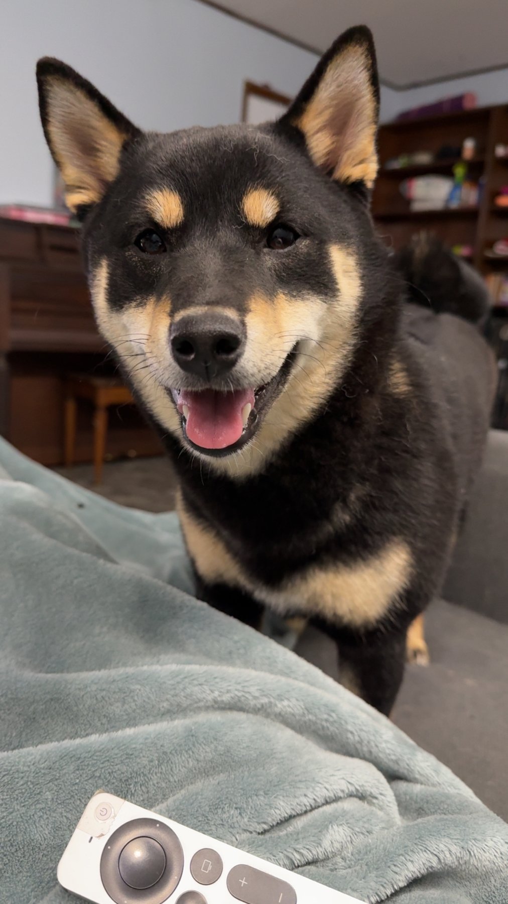Close portrait of Yoshi looking into the camera